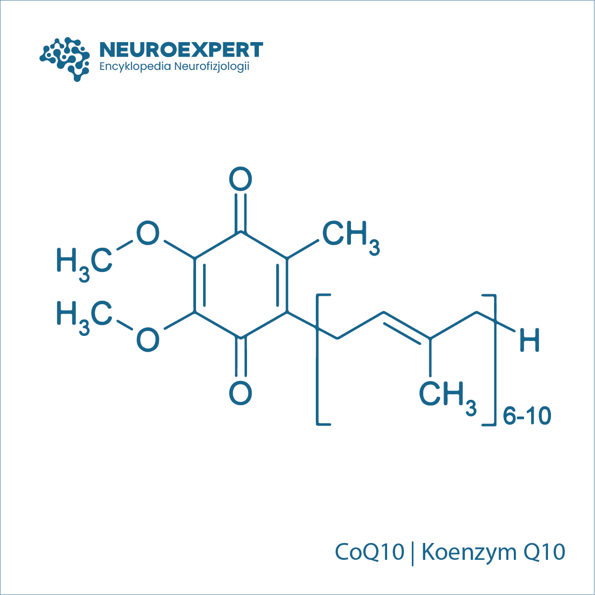 Koenzym Q10 CoQ10