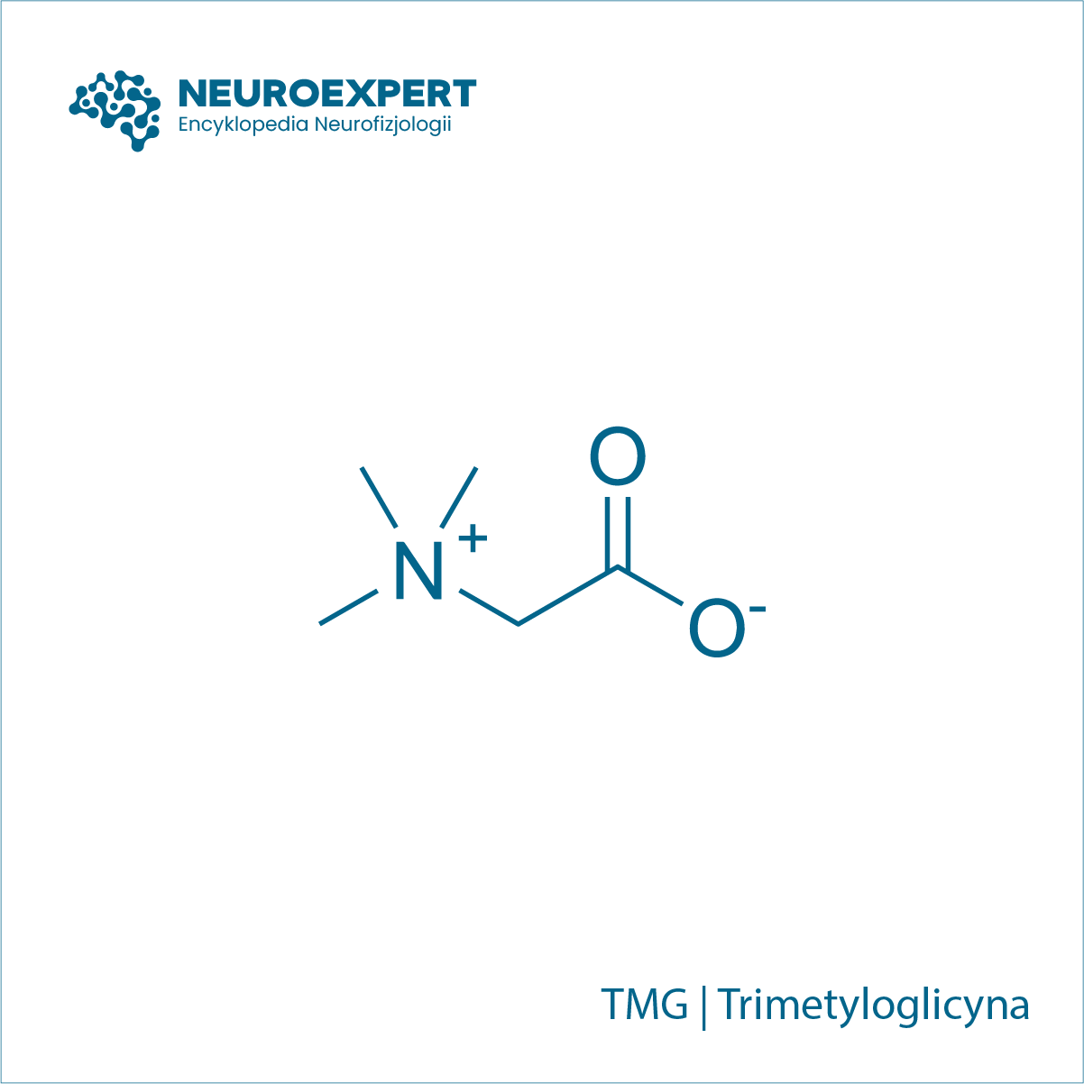 TMG Trimetyloglicyna
