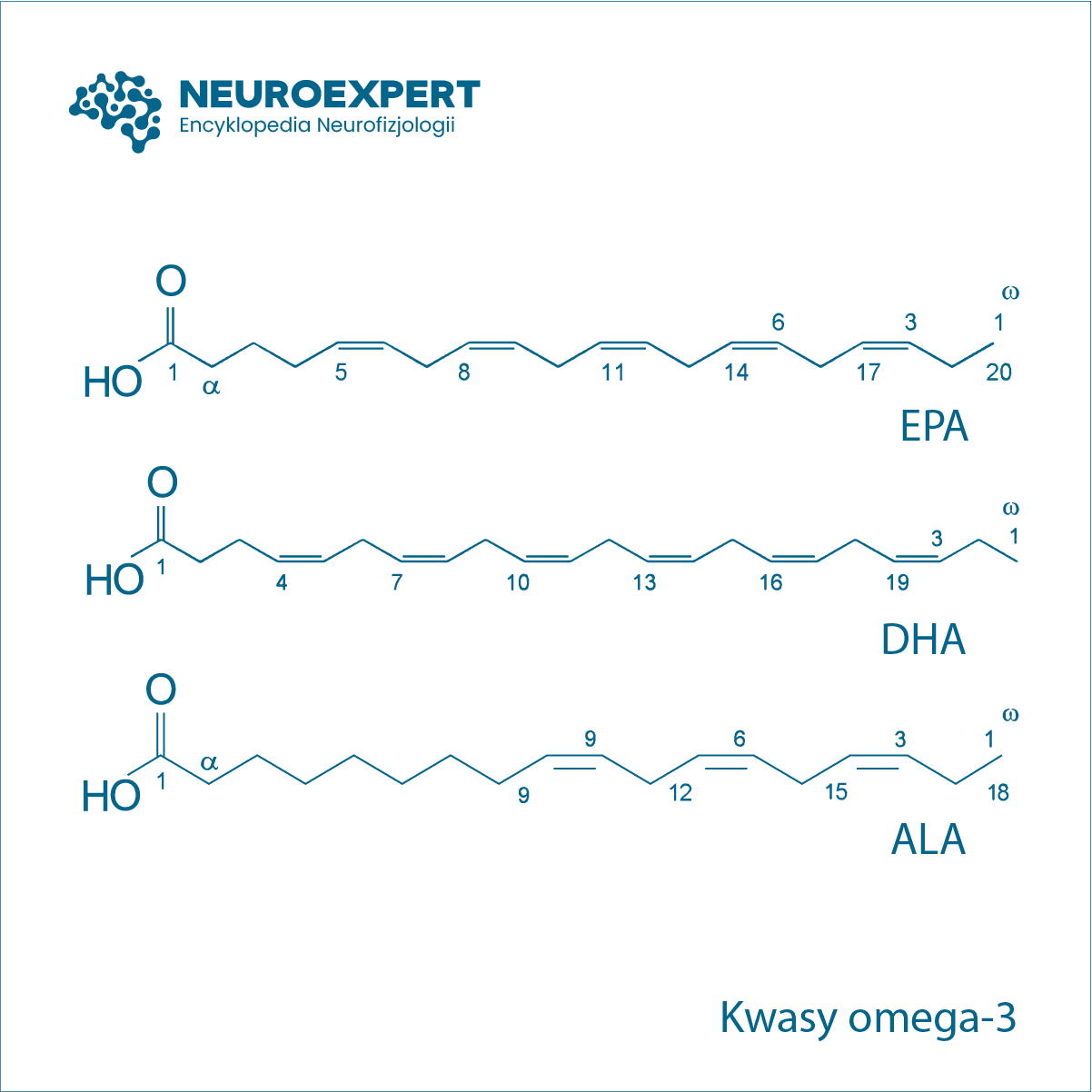 Kwasy omega-3