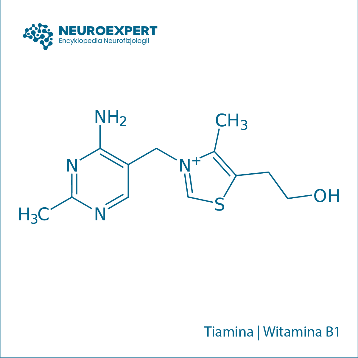 Tiamina Witamina B1
