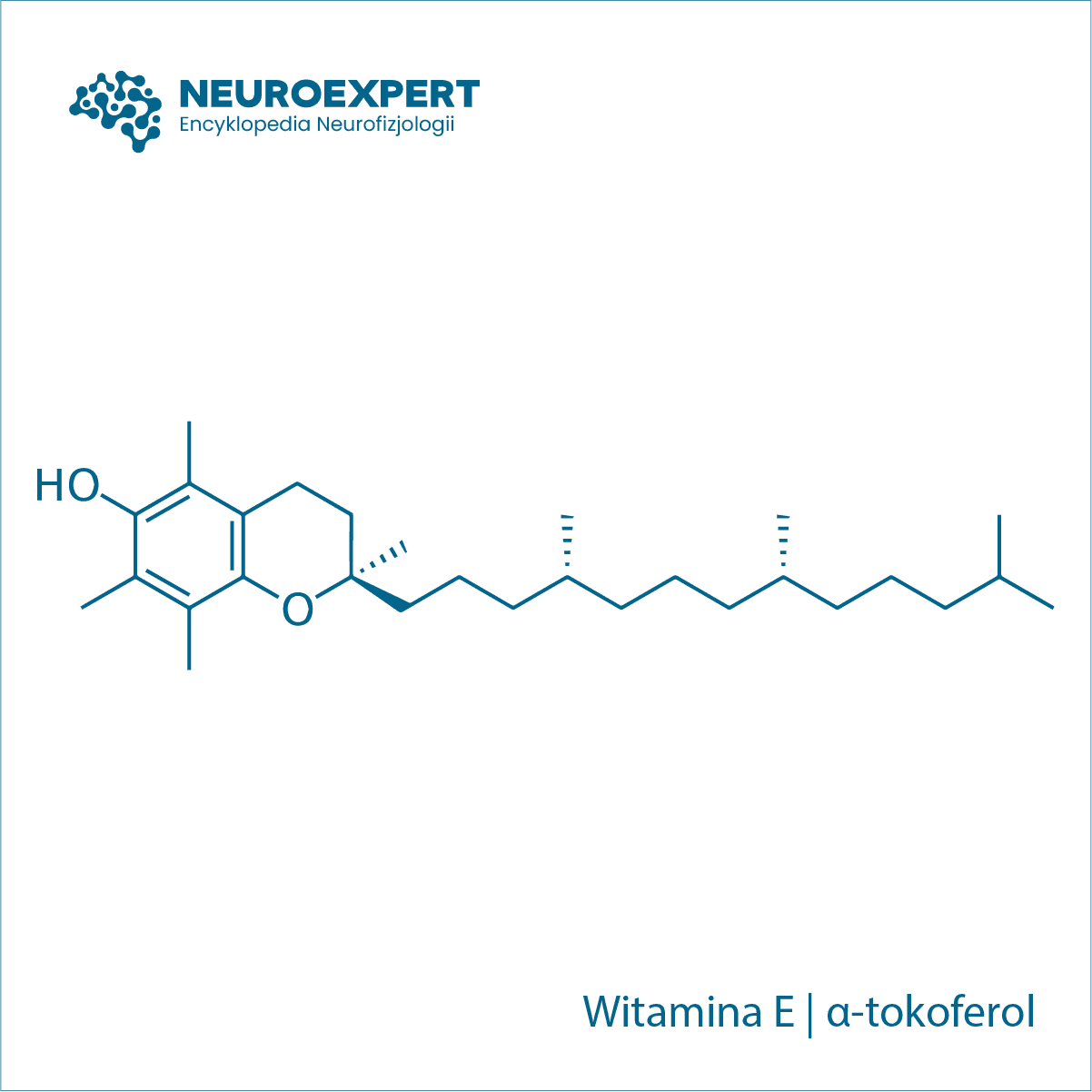 α-tokoferol Witamina E
