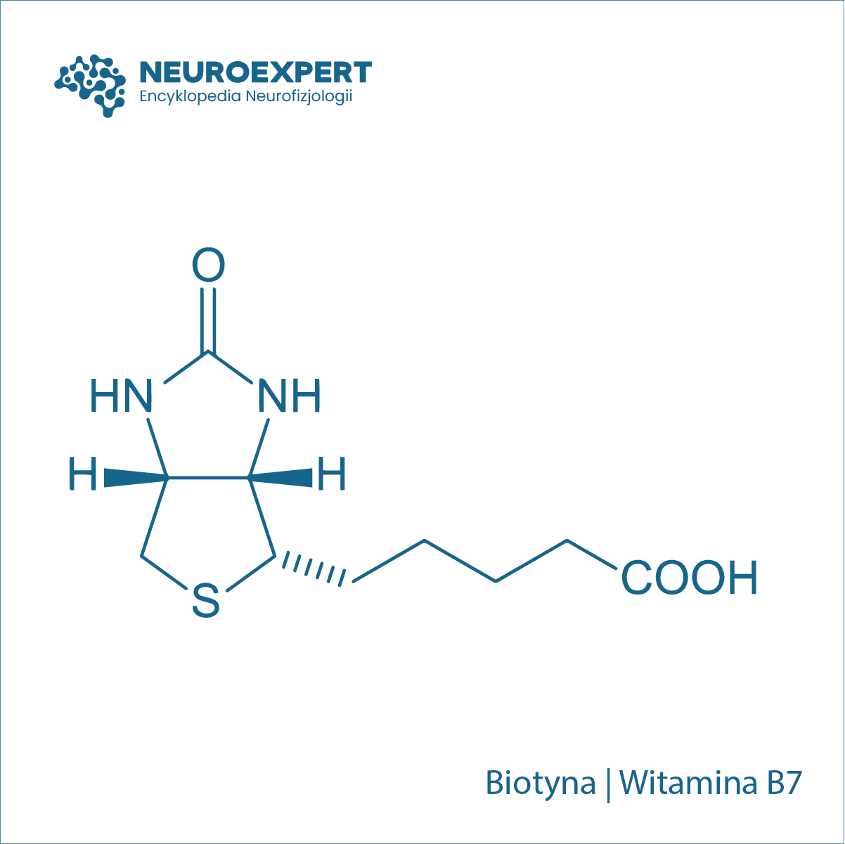 Biotyna Witamina B7
