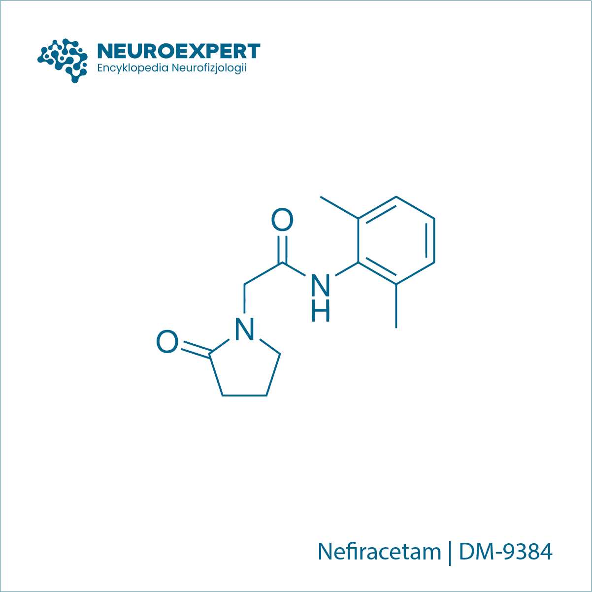 Nefiracetam DM-9384