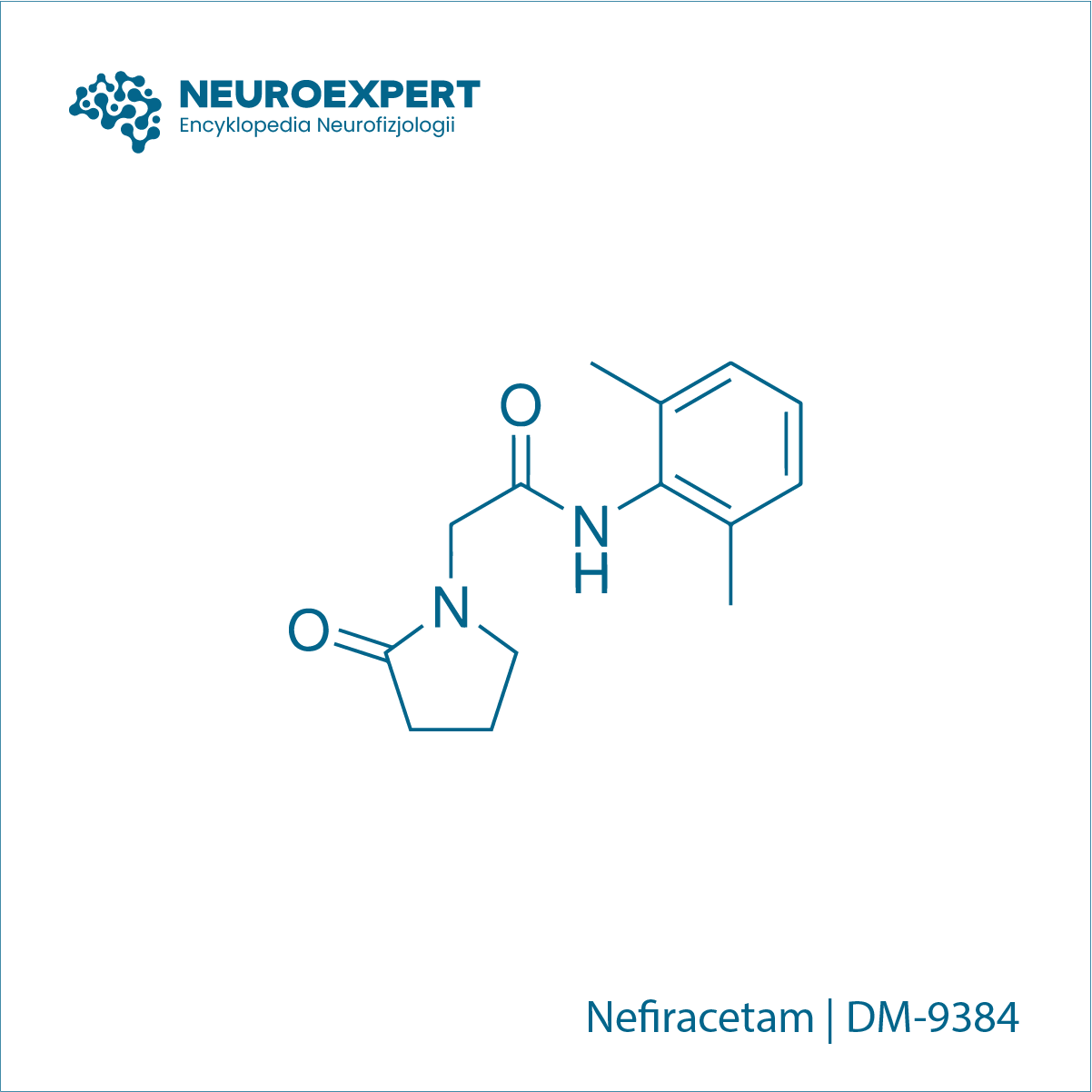 Nefiracetam DM-9384