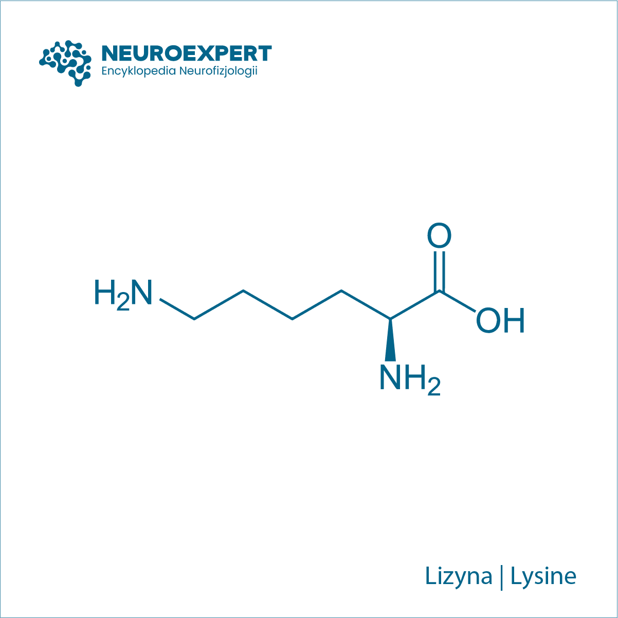 Lizyna Lysine