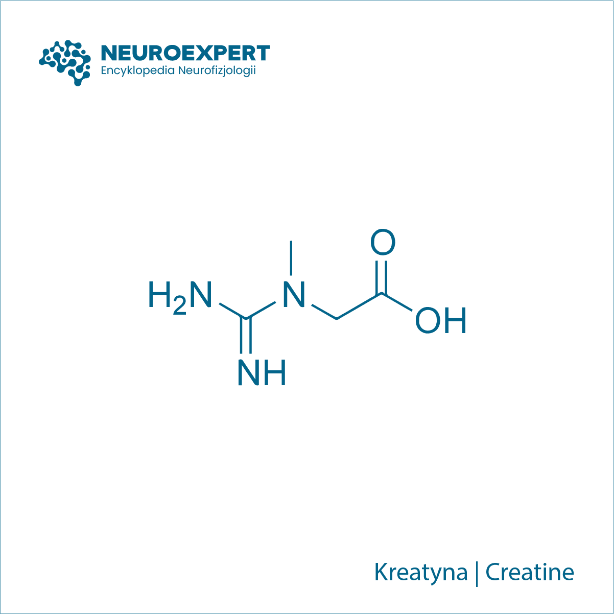 Kreatyna Creatine