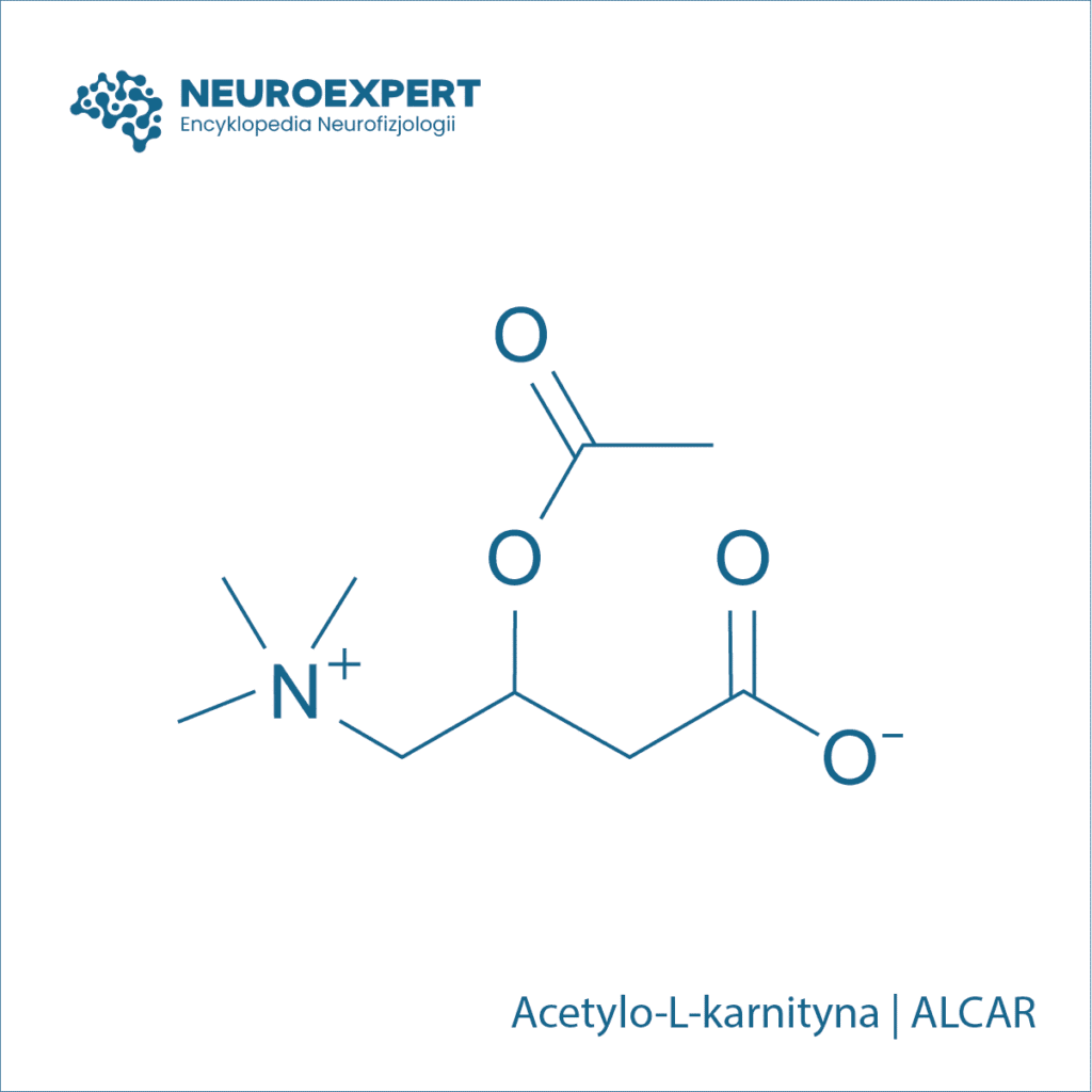 Acetylo-L-karnityna ALCAR|||||