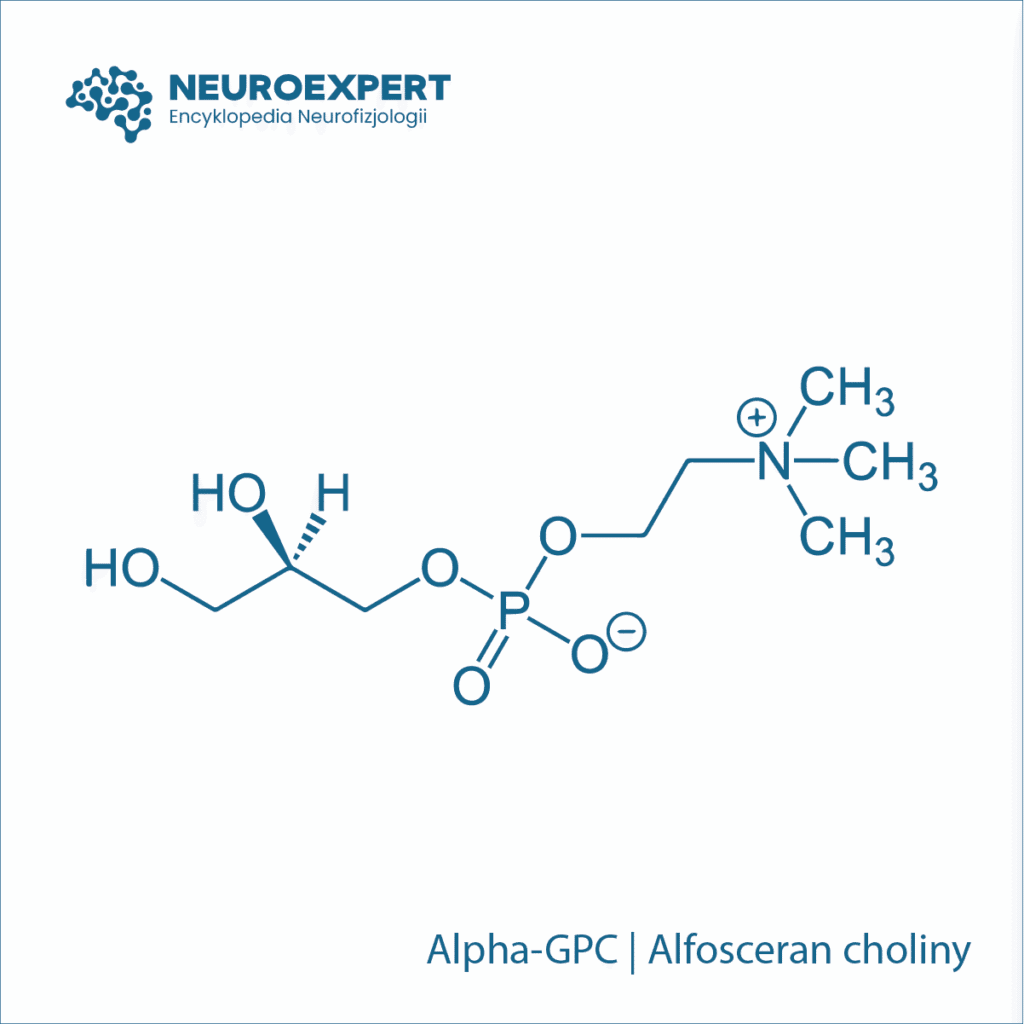 alpha-gpc|||||