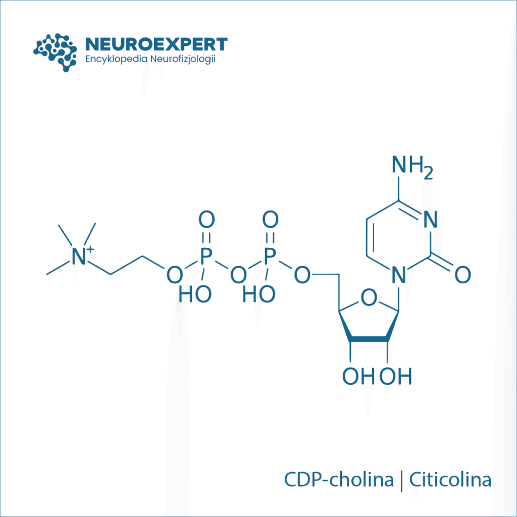 CDP-cholina Cytykolina Citicolina