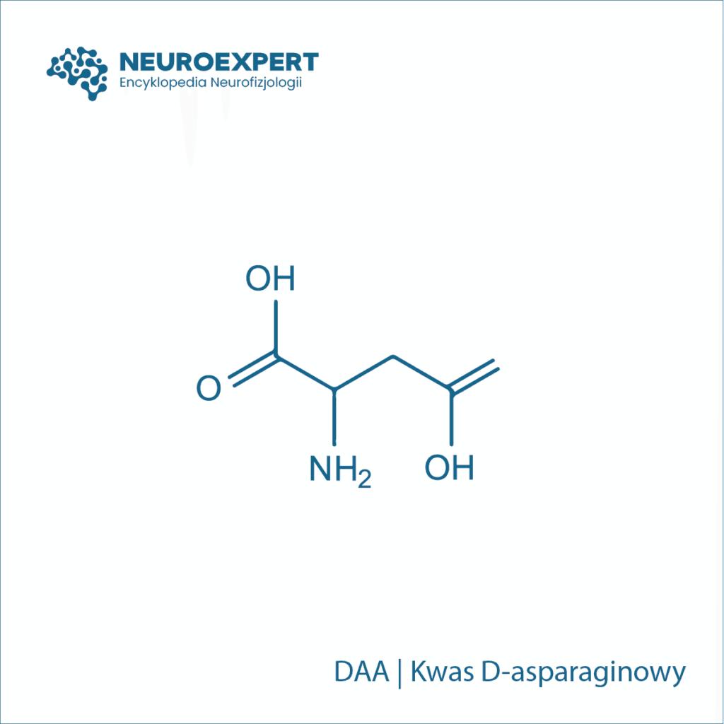 Kwas D-asparaginowy DAA