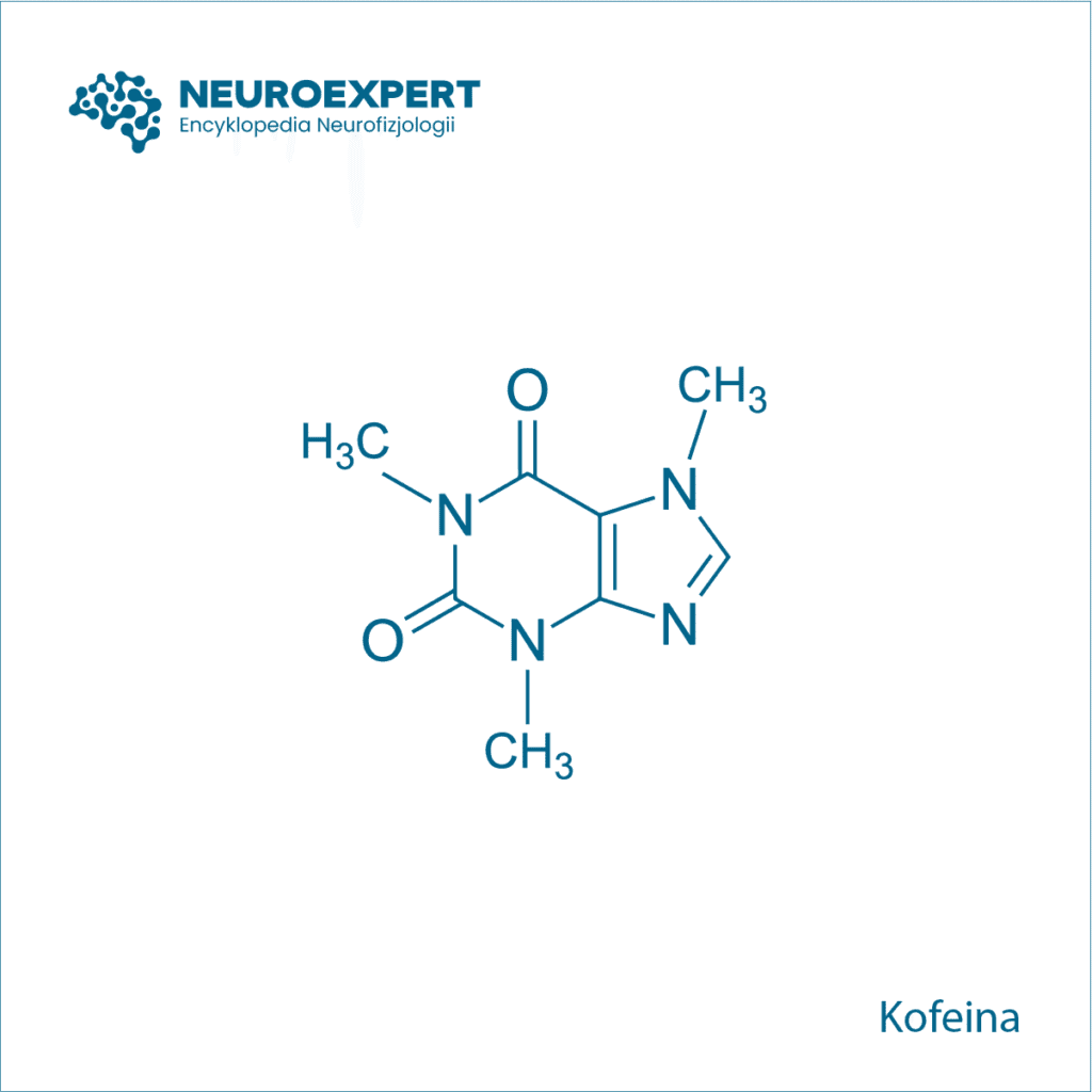 Kofeina