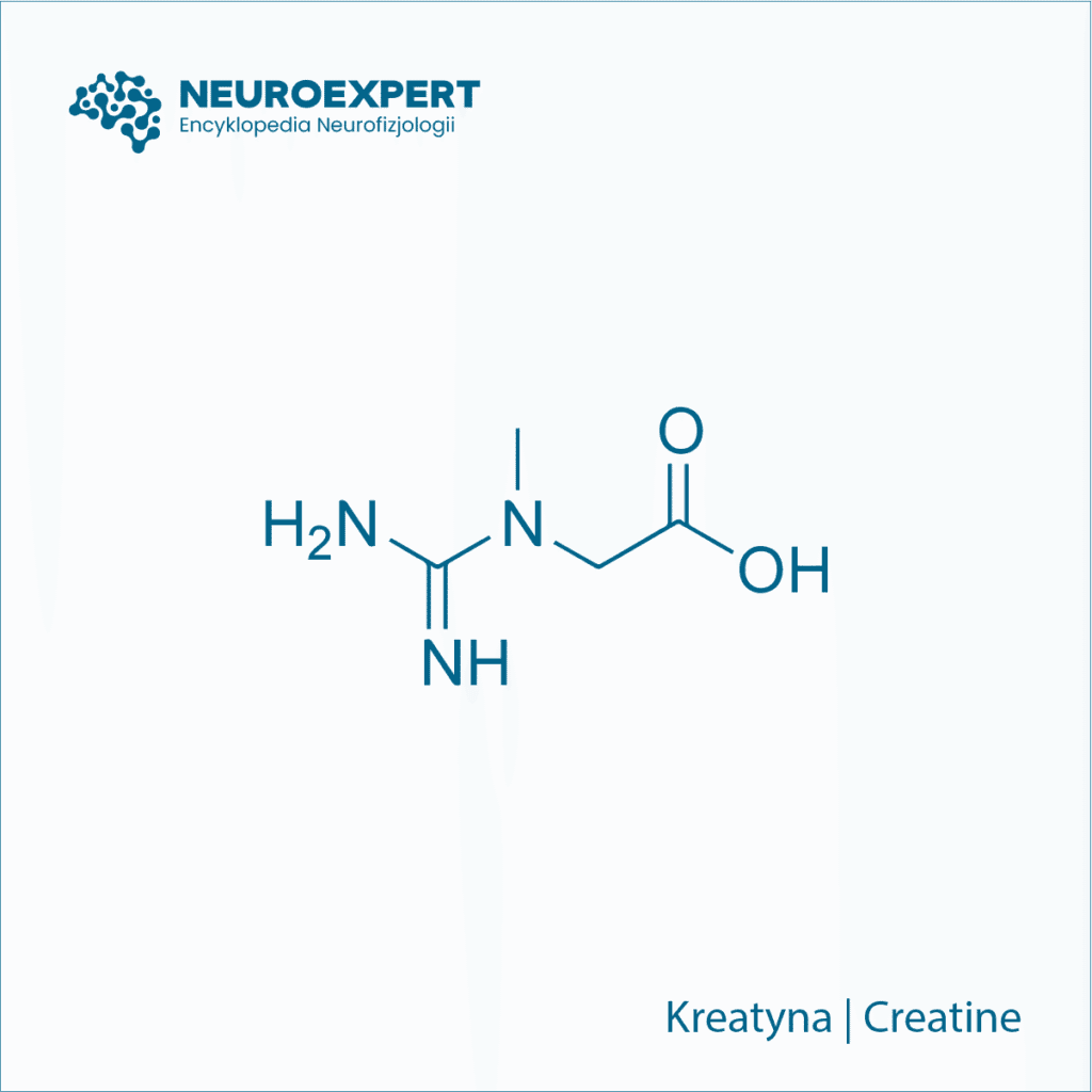 Kreatyna Creatine