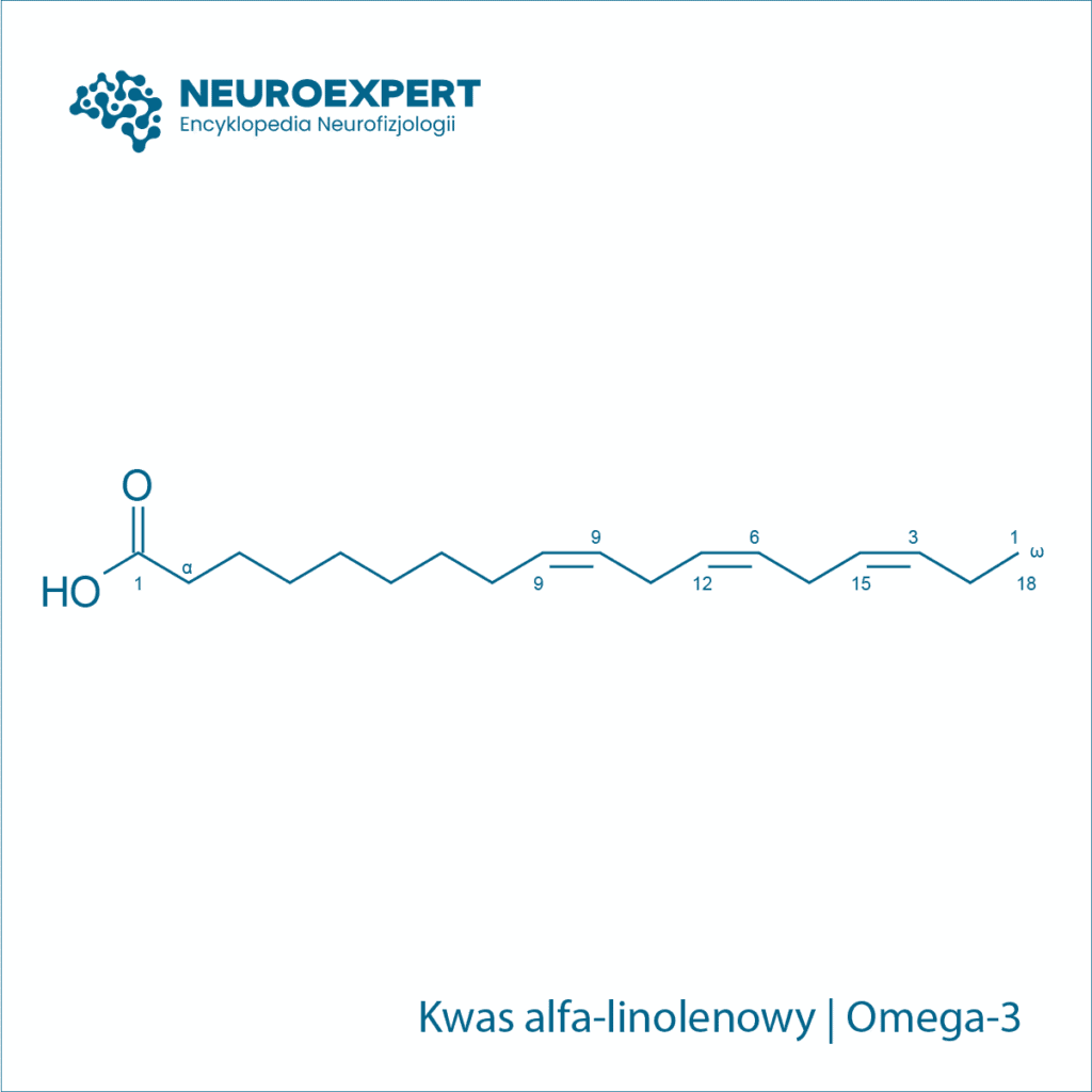 Kwas alfa-linolenowy Omega-3