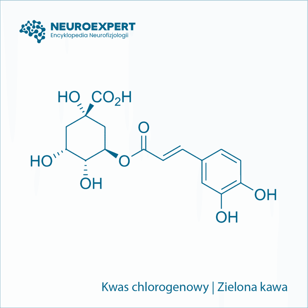 Kwas chlorogenowy