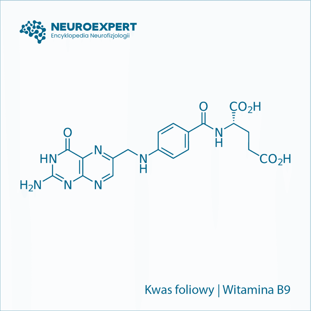 Kwas foliowy Witamina B9