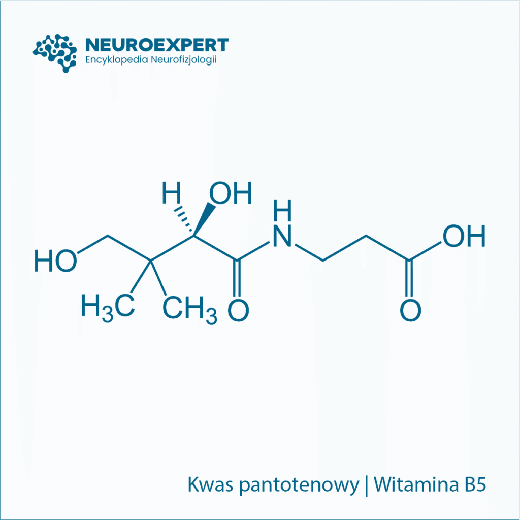 Kwas pantotenowy Witamina B5