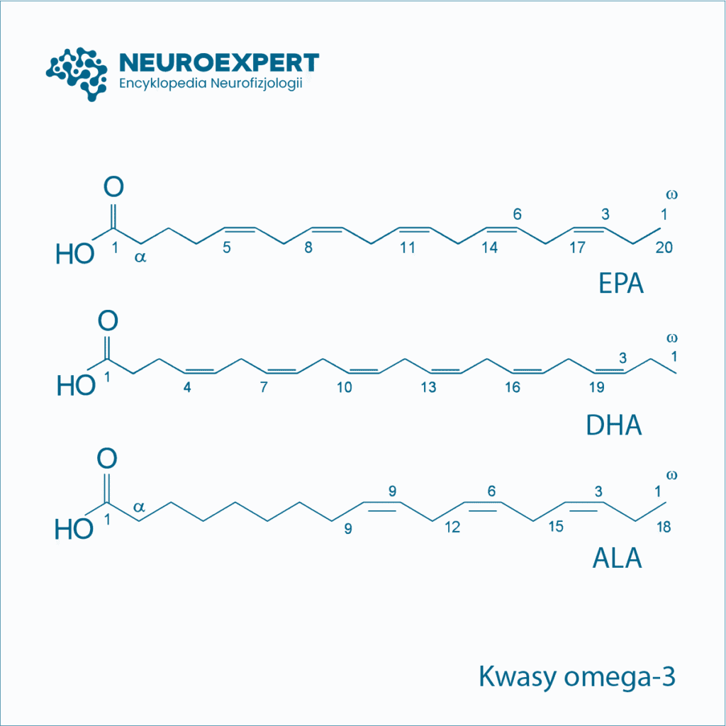 Kwasy omega-3