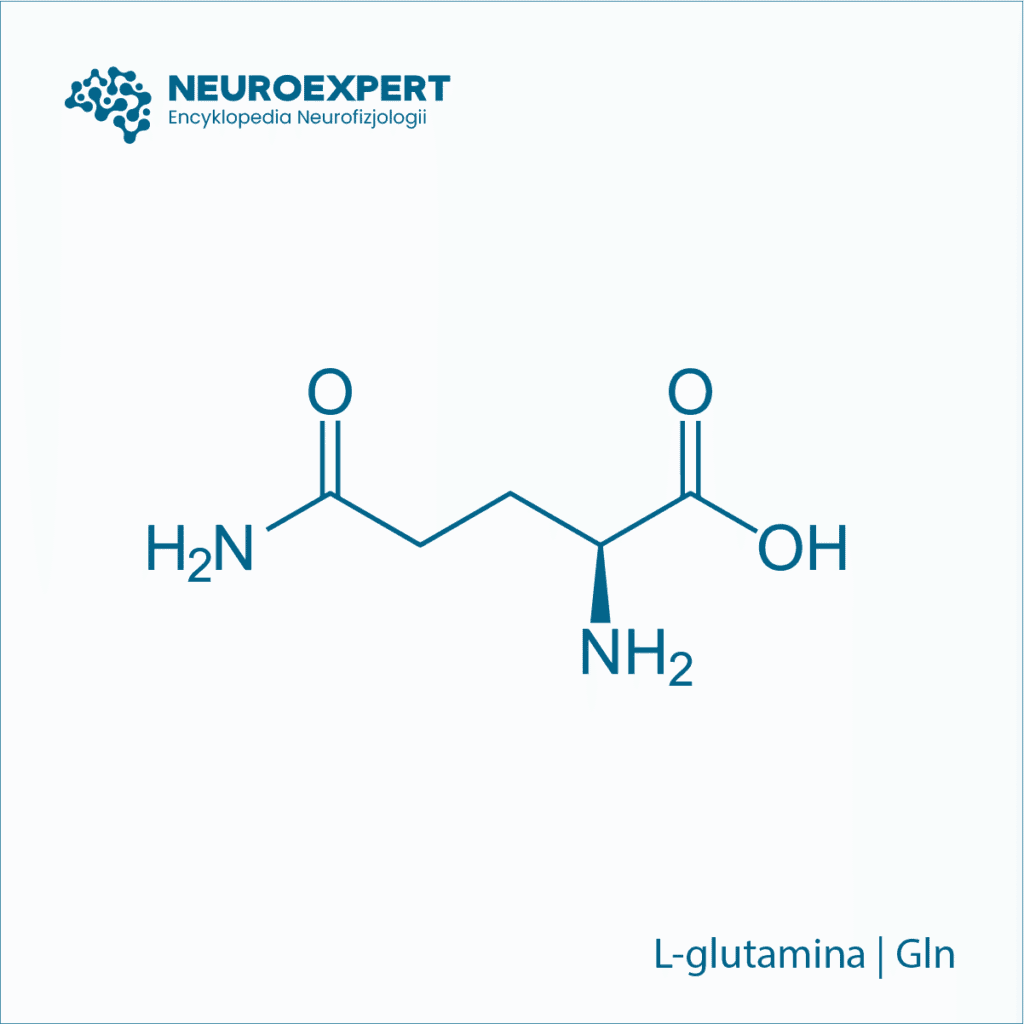 L-glutamina