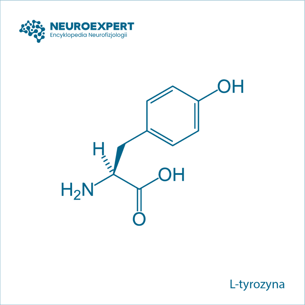 L-tyrozyna