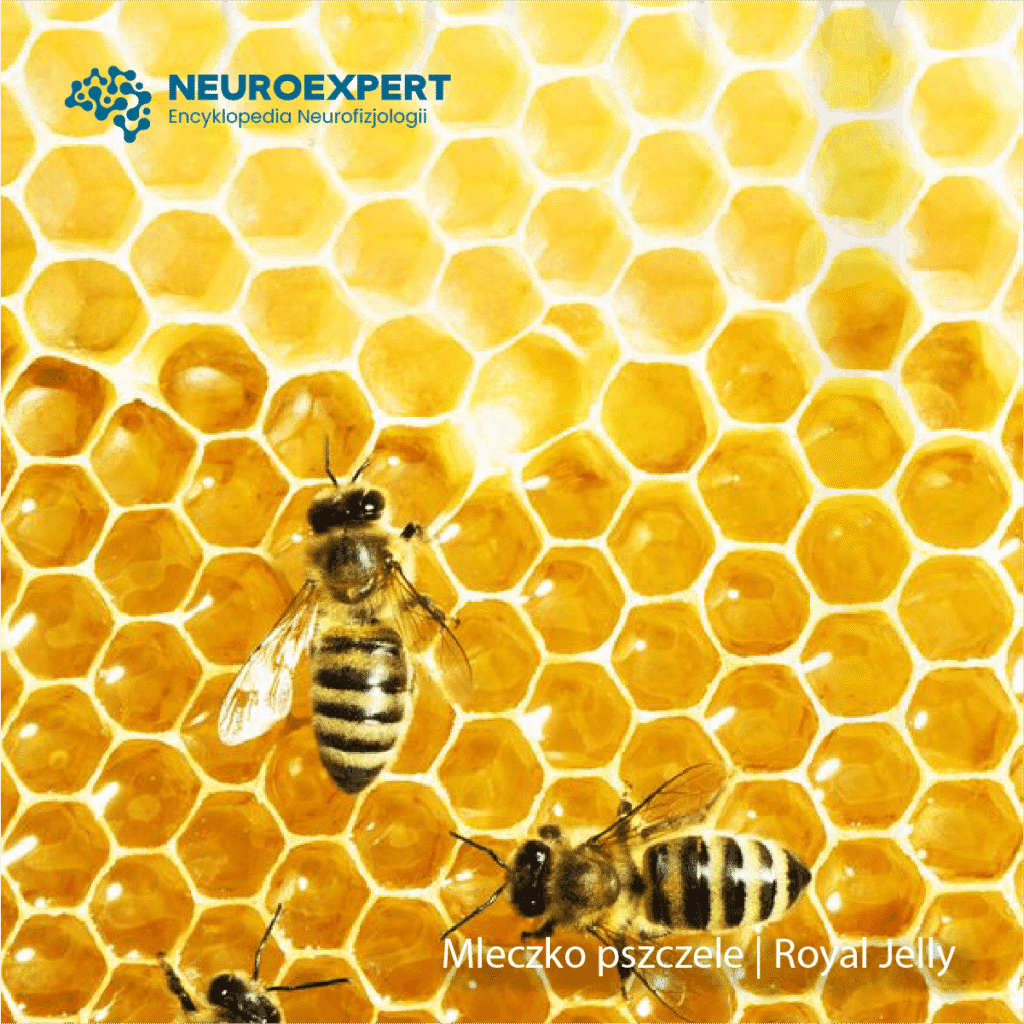 Mleczko pszczele Royal Jelly