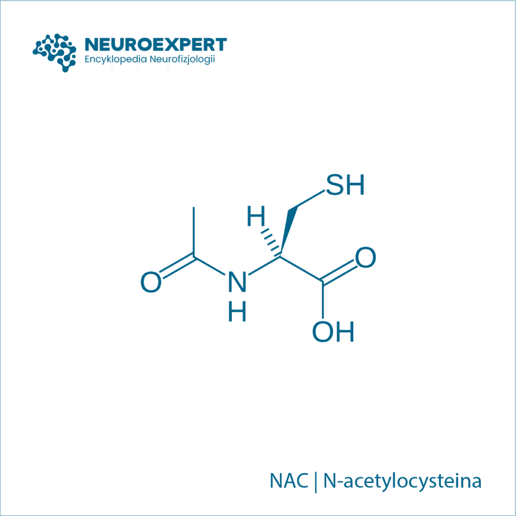 NAC N-acetylocysteina
