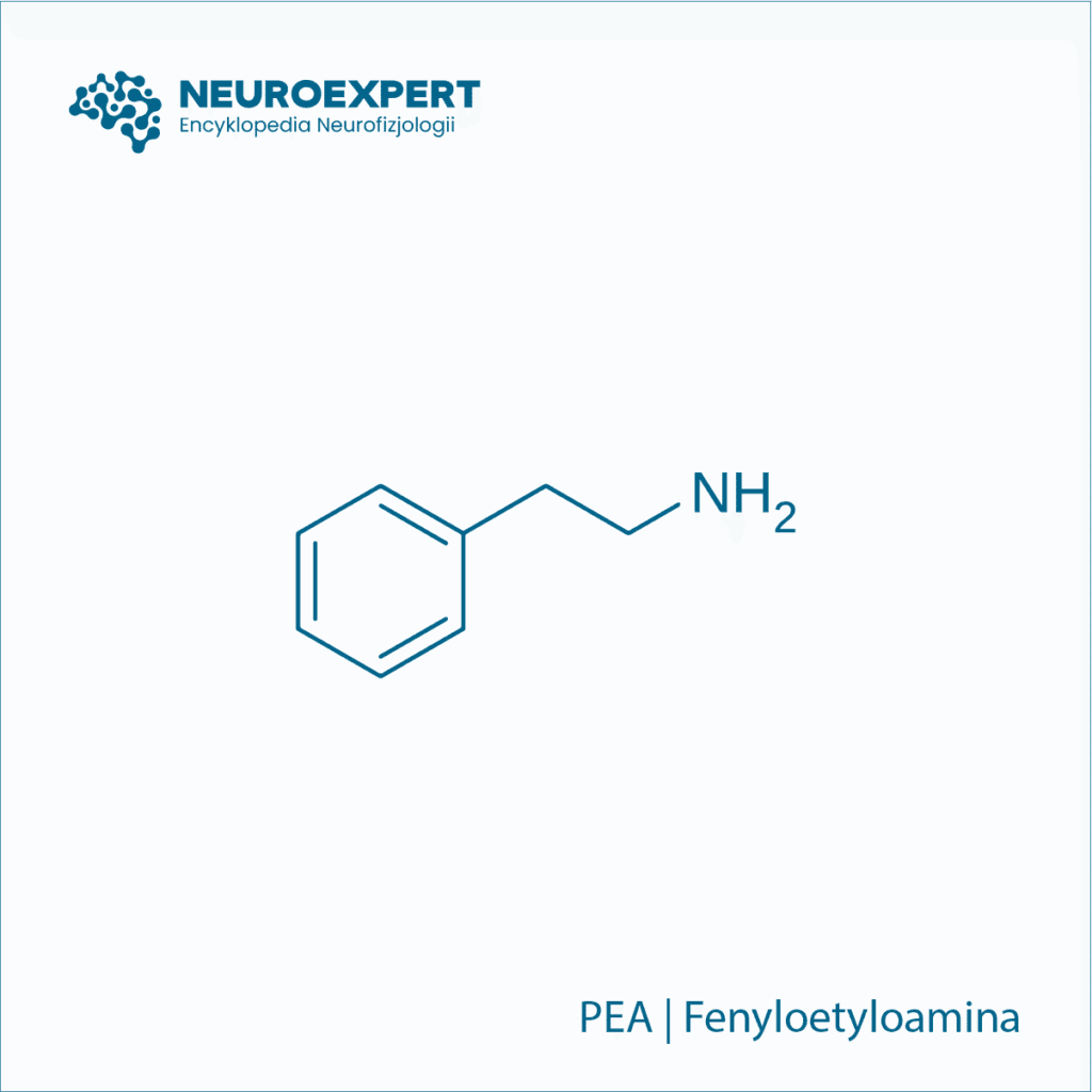 Fenyloetyloamina PEA