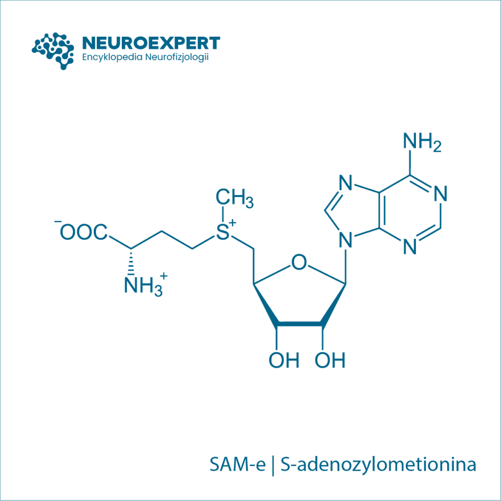 SAM-e S-adenozylometionina