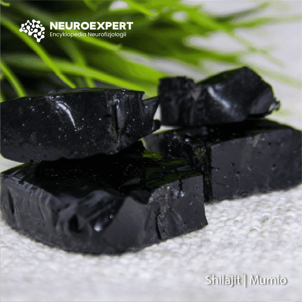 Shilajit Mumio
