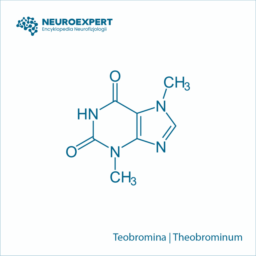 Teobromina